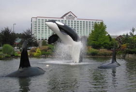 tulalip-casino