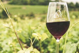 winery tours