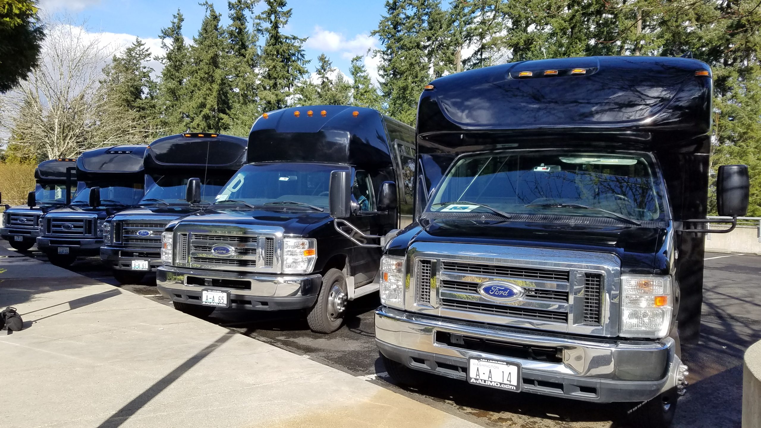 VIP Mini Coach Executive Seattle
