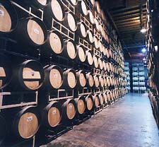 Wine Tour 4